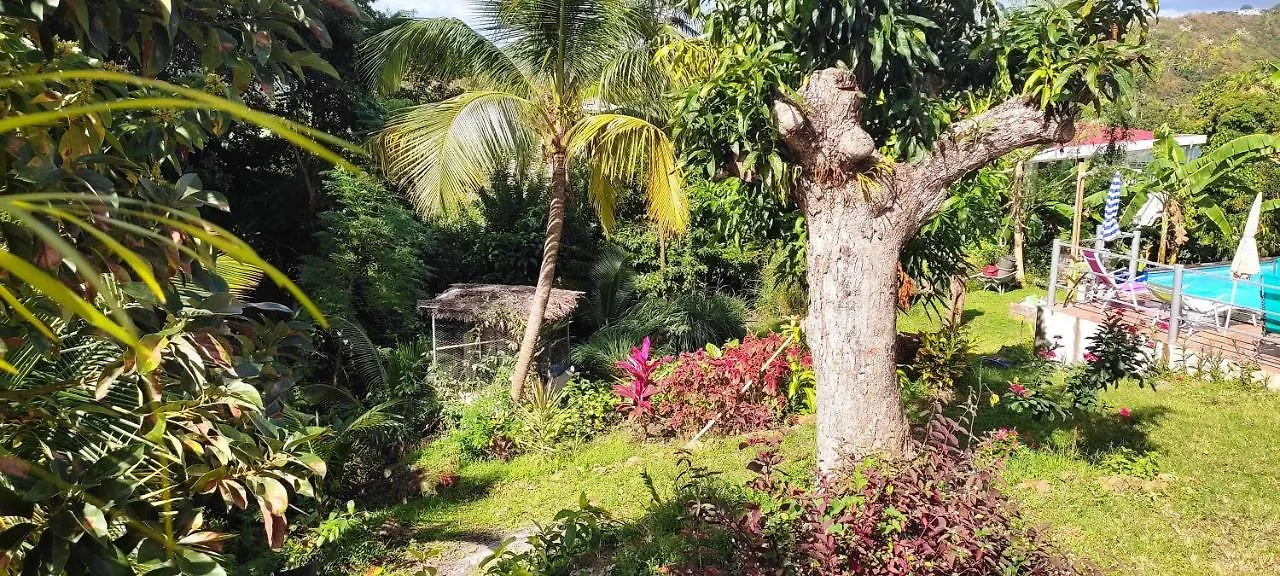T2 Avec Piscine Partagee Pour 2 Personnes Villa Le Marin Martinique